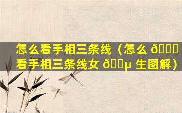 怎么看手相三条线（怎么 🐅 看手相三条线女 🌵 生图解）